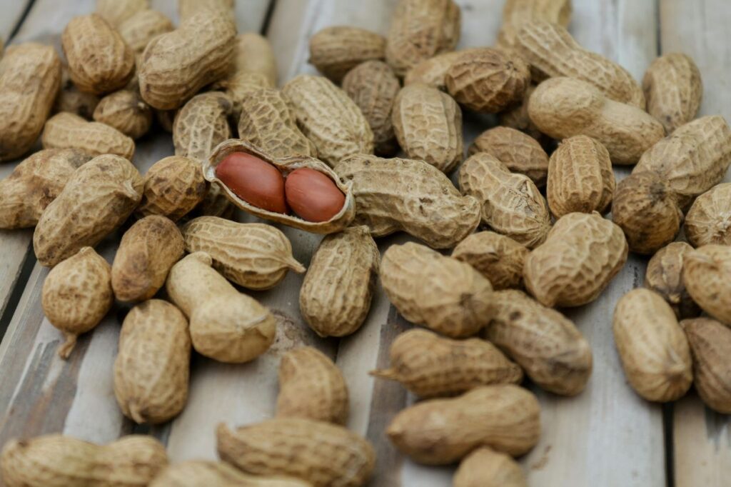 Peanut In Shell
